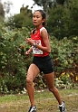 2010NCSXC GD1-1310